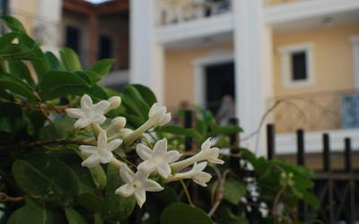 Renia Hotel Agia Pelagia - Crete