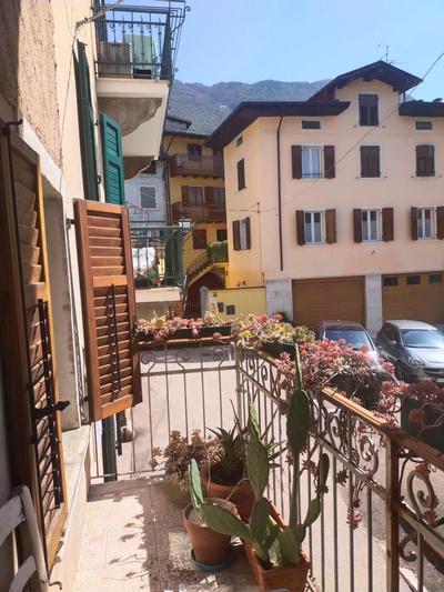 La tana dell'artista