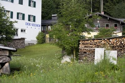 Seehof Goldegg
