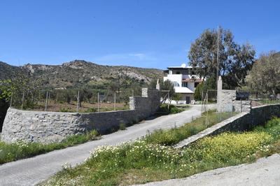 Bernie House