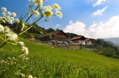 Wargerhof - Urlaub auf dem Bauernhof