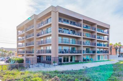 Seagull's Landing By The Ocean