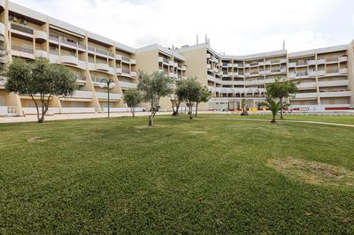 Apartamento Palmeira Gale - Beach - Pool - BY BEDZY