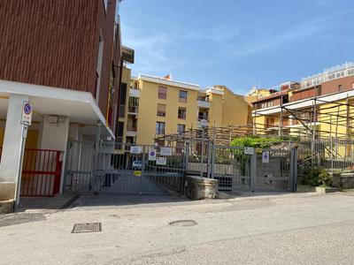 B&B Amadema