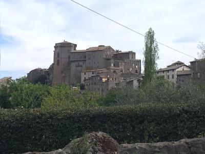 Il nido
