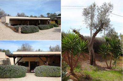 Casina Matilde