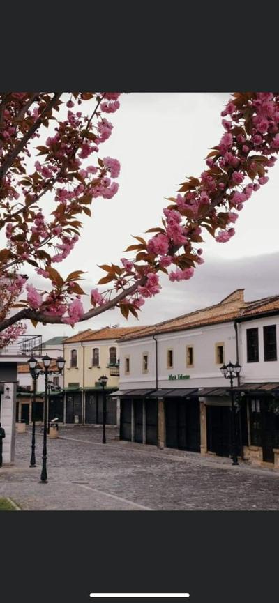 Tradicional Bazaar Home