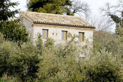 Agriturismo Il Gelso Antico