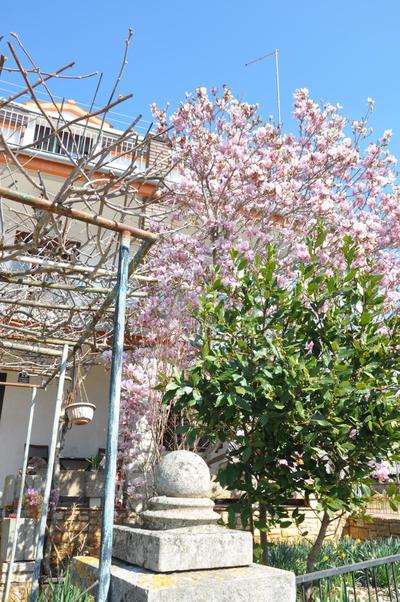 Apartman Mirna