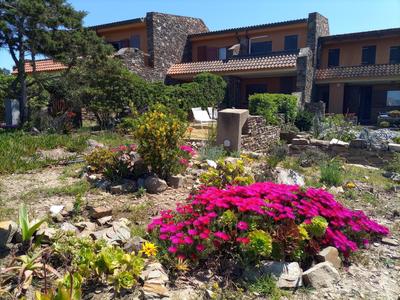 Il Pesce Innamorato - Stintino