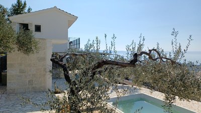 Olive Stone House