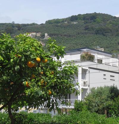 Attico Fronte Mare Residenza Matilde
