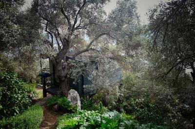 Magical Treehouse Cabin by the sea with amazing views