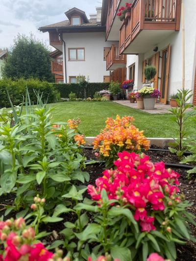 CASA BEBA - 2 camere, 2 bagni, parcheggio Dolomiti Affitti