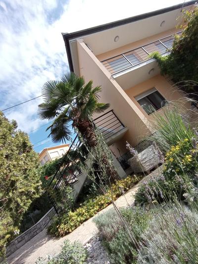 Apartman Šimun