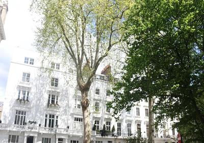 Knightsbridge-EARLY CHECKIN avail Sleeps 5 2Bedrooms 1 bathroom