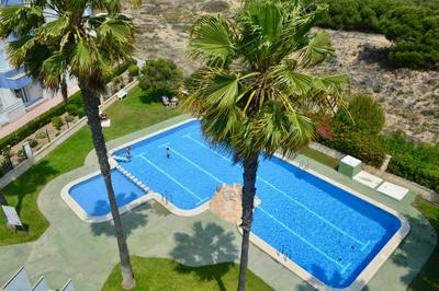 Amazing apartment 50 m from the beach