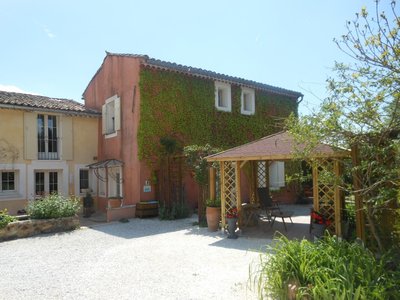 Les Passiflores