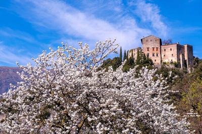 Il Balcone sul Brenta