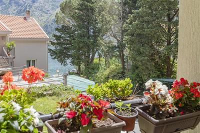 Muo Sea Front Apartments Kotor