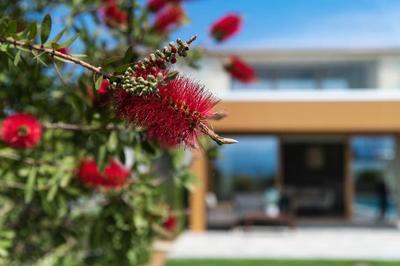 Amaré Chania Luxury Residence