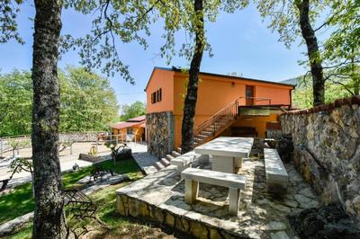 Holiday home with swimming pool, wellness, horses and donkeys