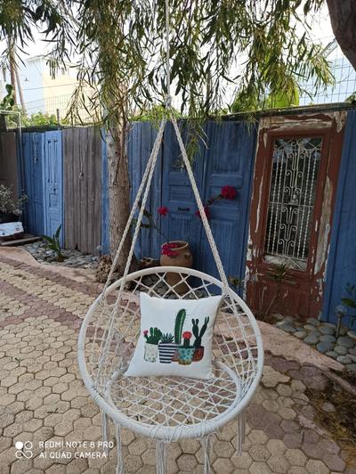 Cactus Home