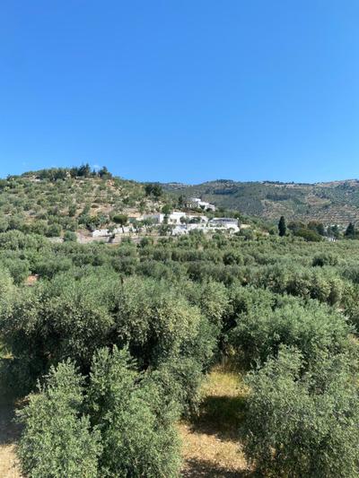 Casa Uliveto