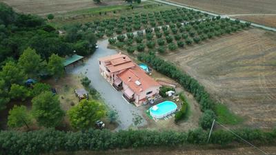 ilboschetto magnolia, Billede 2