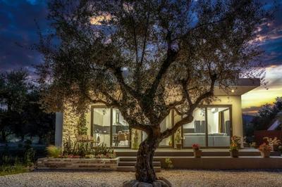 Alfi's House Lithakia Zakynthos