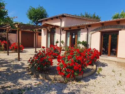 Azienda Agricola Sinisi