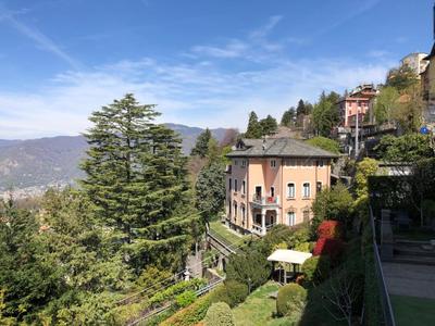 IL NIDO DELLA FENICE