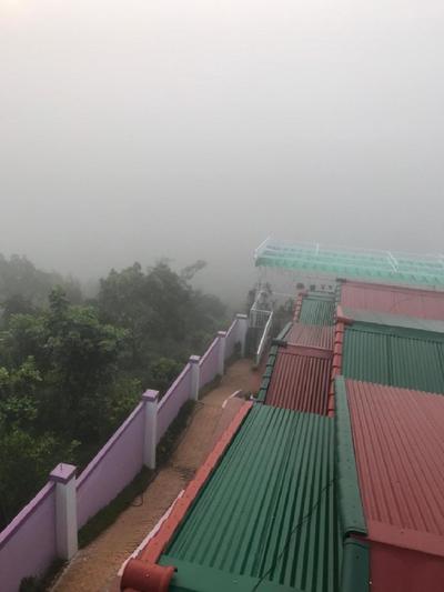 Ngoc Lan Violet Homestay & Coffee