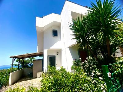 Firefly Home Sorrento