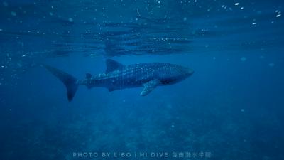 Sunrise by white sand dhigurah