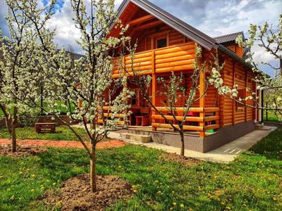 Holiday cottage & food Plav