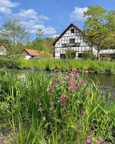 Hotel Der Distelhof - ihr Land- und Tagungshotel zwischen Rennsteig, Rhön & Werratal