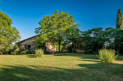 Stella Sud Podere Carbone