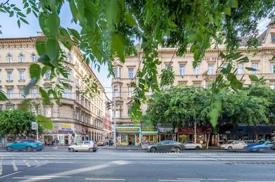 Luxurious Apartments At City Center