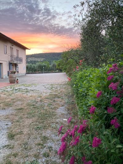 Le Coccole Del Trasimeno