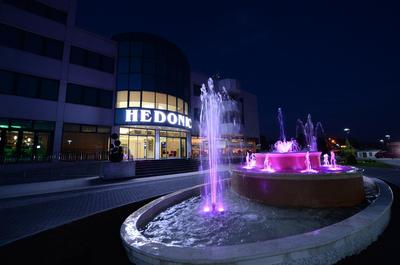 Hotel Hedonic