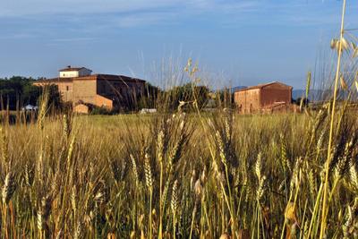 Agriturismo Podere Padolecchie - Azienda Agricola Passerini