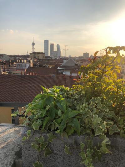 Sarpi Roof