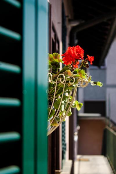 La Ringhiera Tropicale - free parking e self check in