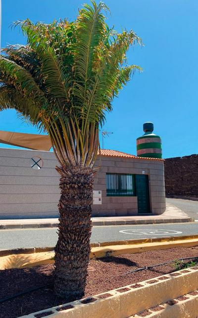 Bonito y elegante loft