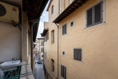 Neri 1