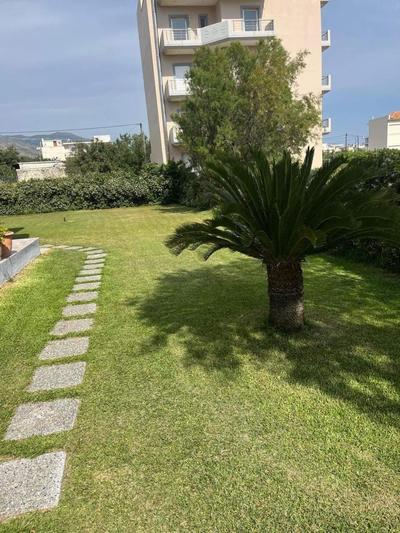 OASIS rooms