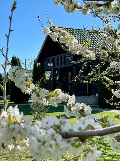 Wooden House