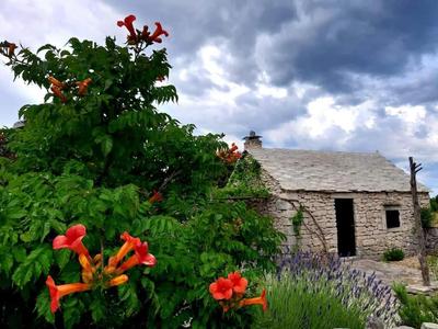 Country House Hacienda
