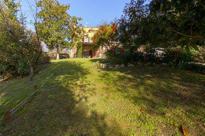 Il giardino del giuggiolo